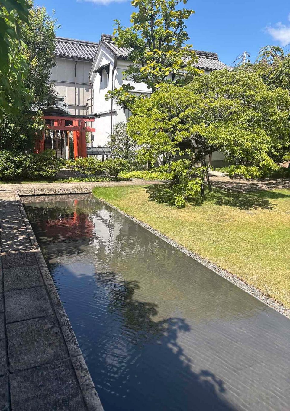 庭と水路