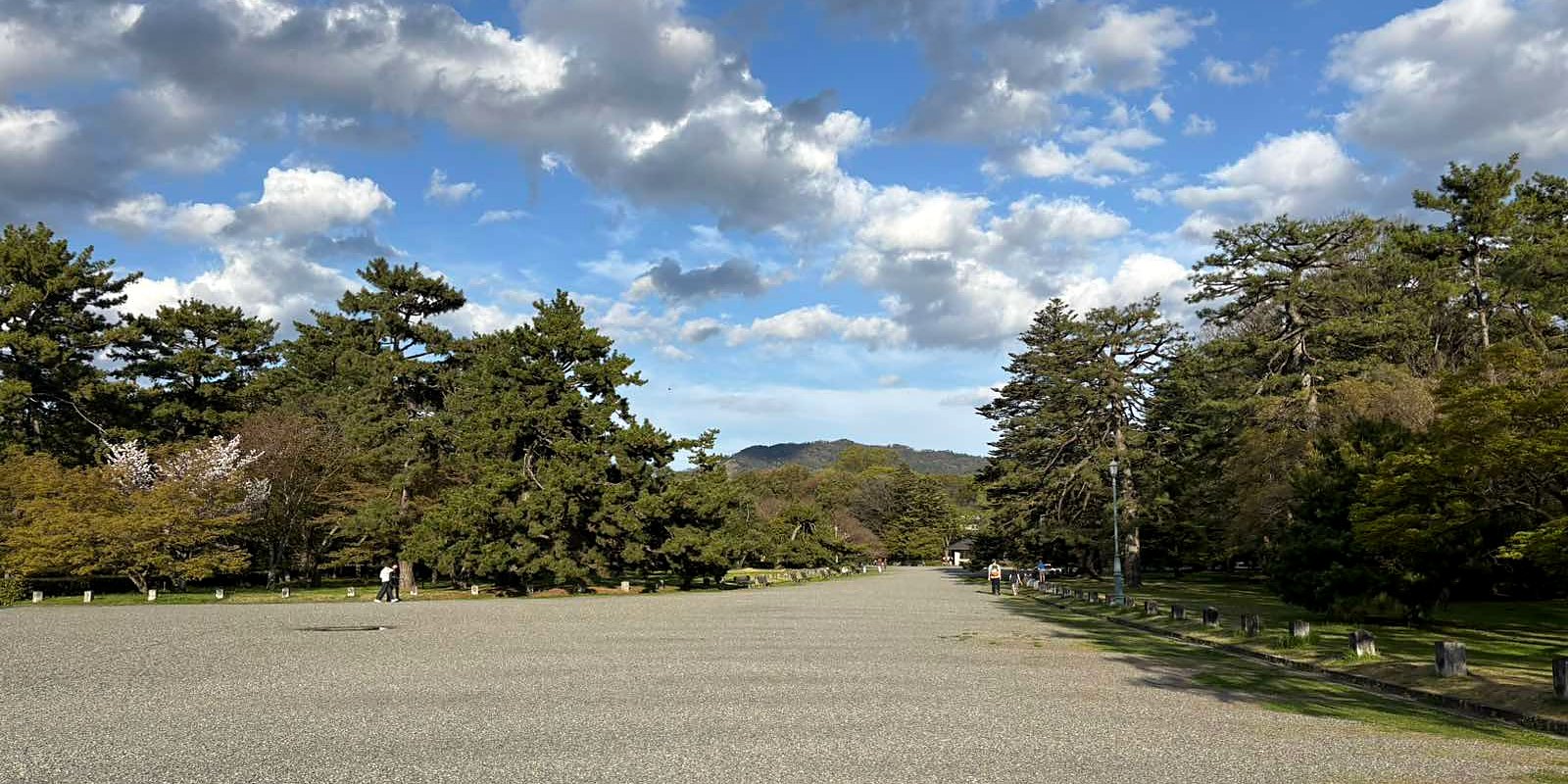 松並木と広い砂利道